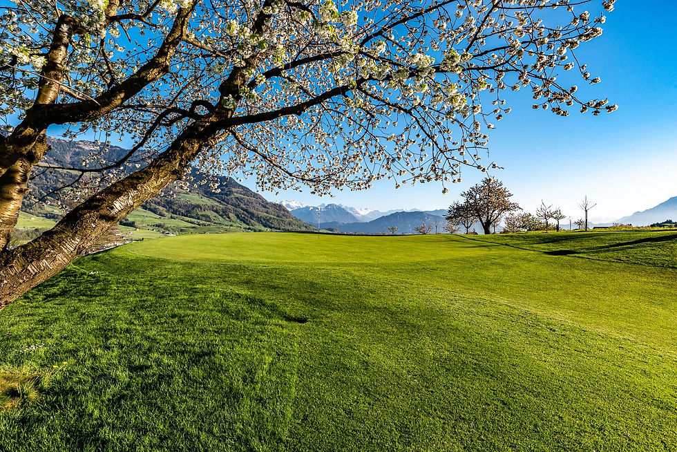 Golf Küssnacht am Rigi