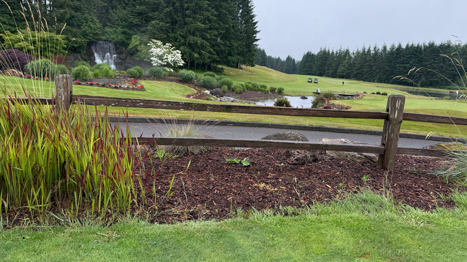 Rainy Day Rambles: Breakfast, Trout, and the Beauty of Hood Canal
