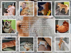 Gondolkozós percek - álomból ébredve