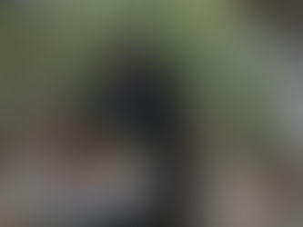 Az élet értelme: a favágás