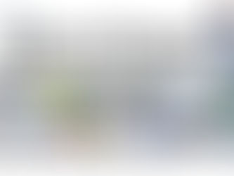 Storm Eowyn response video.