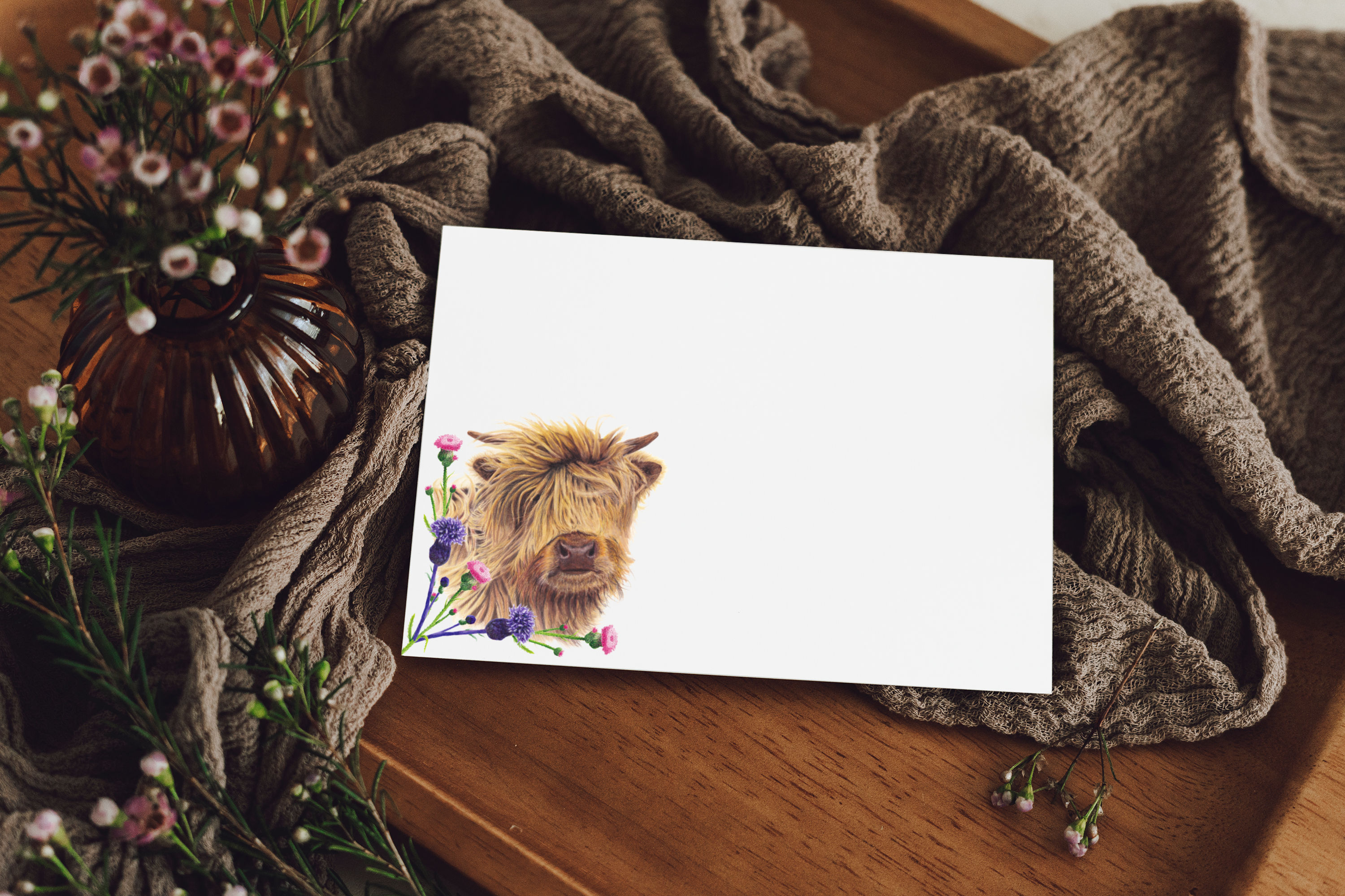 Highland Calf Notecards | Pack of 8 or 20