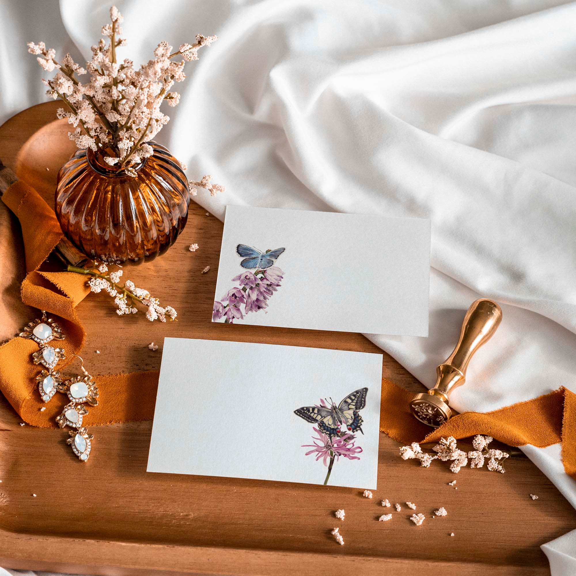 Butterfly Notecards | Pack of 8, 20