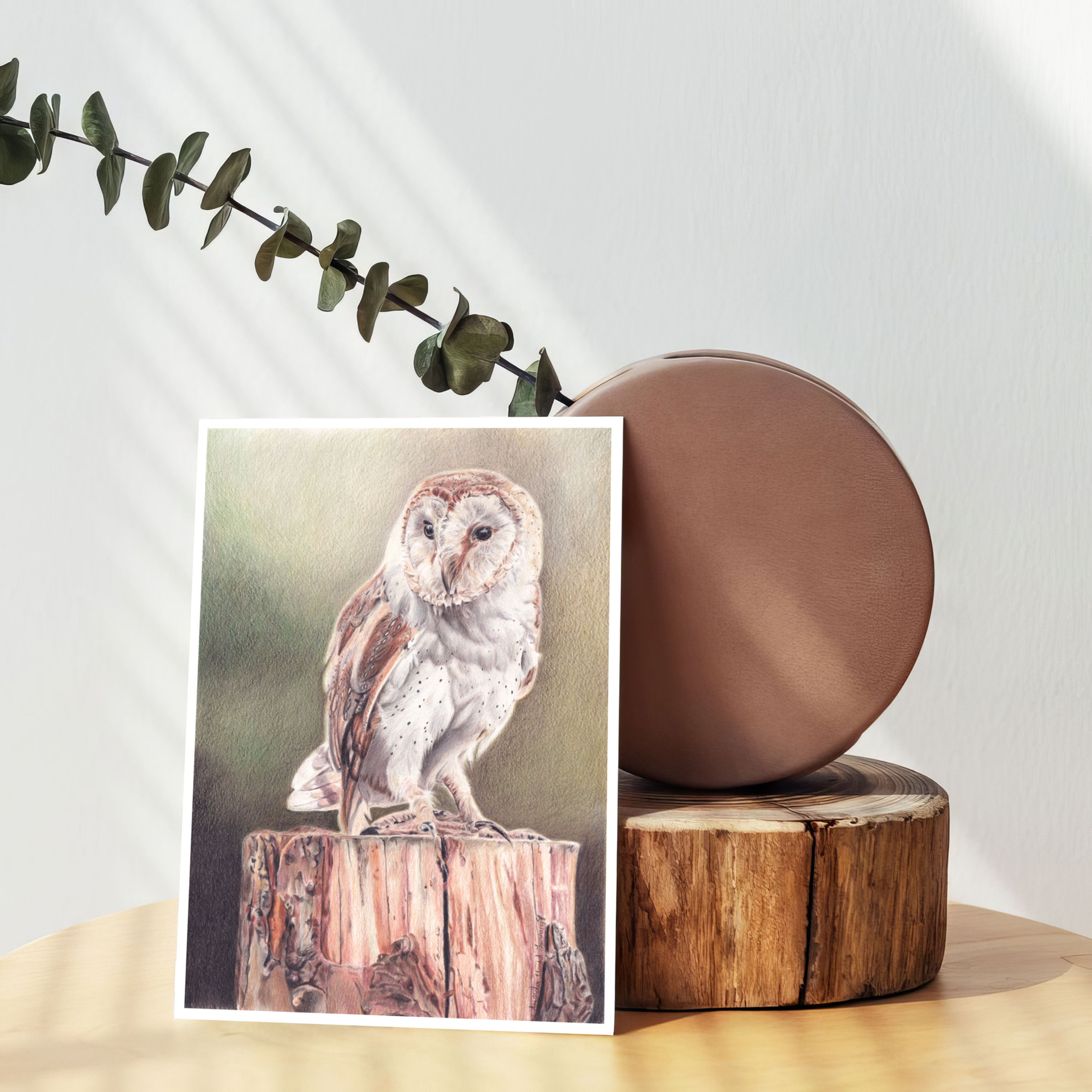 Barn Owl 'The Watcher's Gaze' A5/A4 Signed Art Print