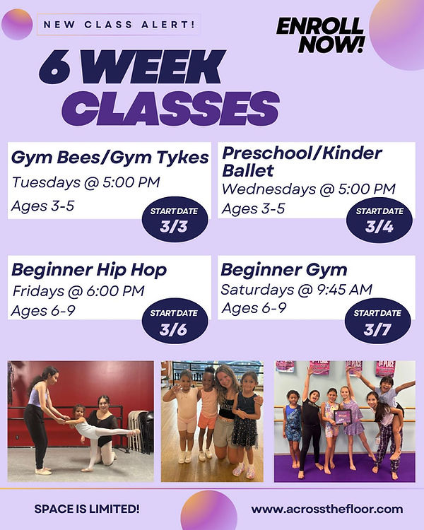 2026 6 Week Program.jpeg