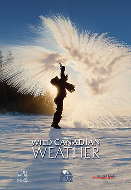 WCW poster CBC VERTICAL 2b (Not Formated) copy.jpg