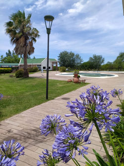 El Espinillo - Termas del Guaychú