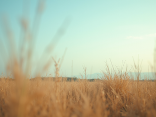 Empower Yourself: The Clarity Compass Explained