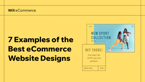 7 Examples of the Best eCommerce Website Designs