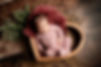 Edmonton Baby Photographer