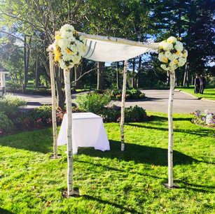Birch Chuppah.jpeg