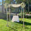 Thumbnail: White Birch Chuppah: Rental