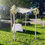Thumbnail: White Birch Chuppah: Rental
