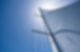 yacht-sails-on-clear-blue-sky-background-sailing-2026-03-17-17-43-44-utc.JPG