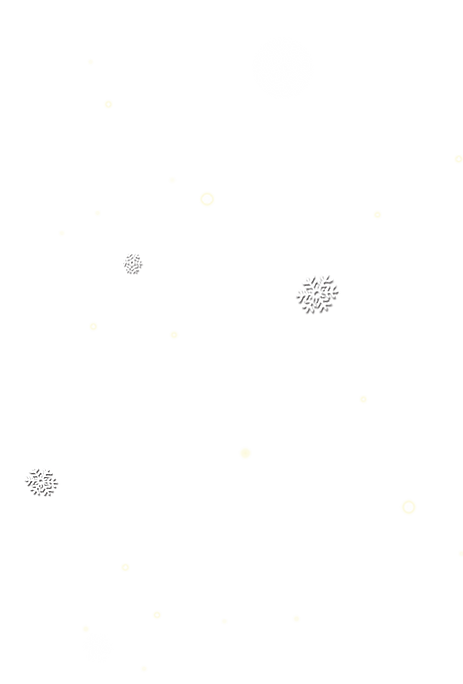 Snowflakes.png