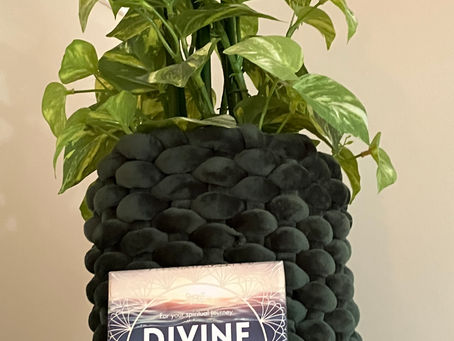 Biomorphic Forms (Nature) - Reducing Our Anxiety & Stressors