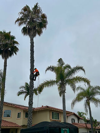 IMG_3322 3_edited.jpg