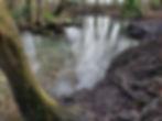 20220129_104153.jpg