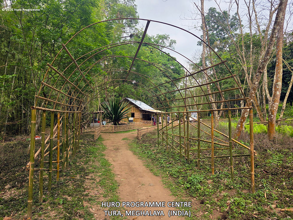 004 Pathway.jpg