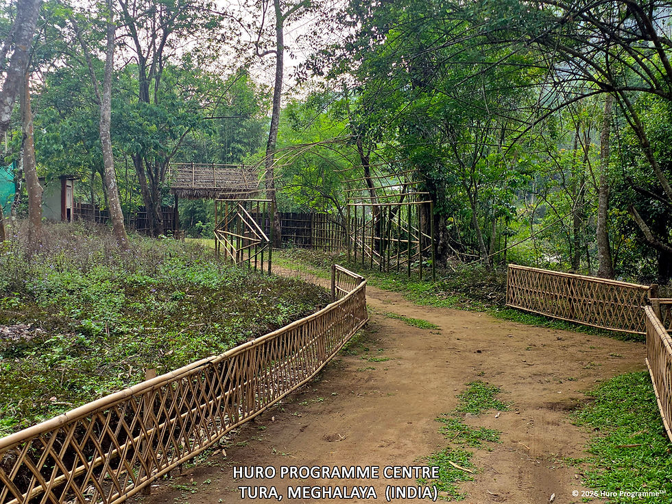 005 Pathway01.jpg