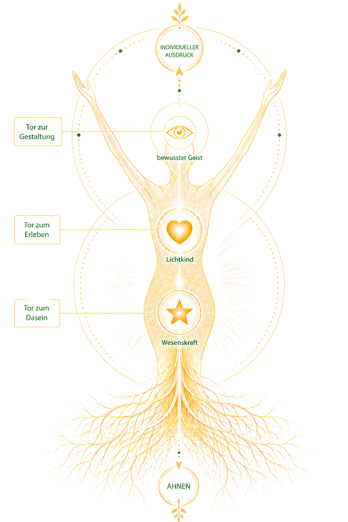 f76ff40d-54c5-419c-9349-346fd4e8c14e.png