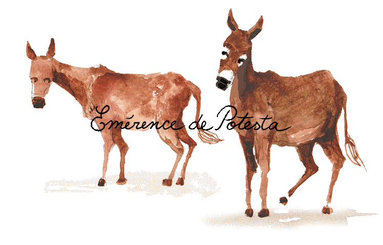 elements_web_donkeys(watermarked).gif