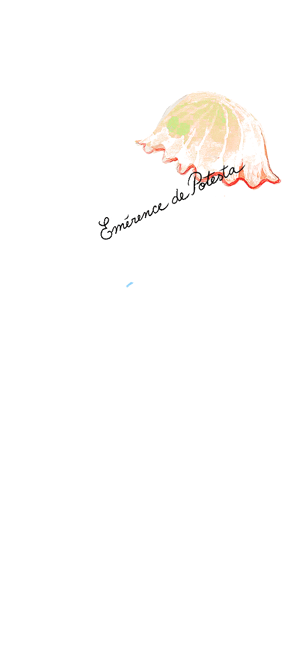 elements_web_jellyfish(watermarked).gif
