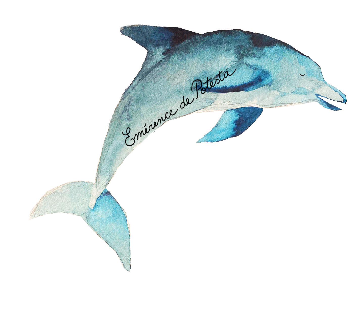 elements_artwork_dolphin(ani)watermarked.gif