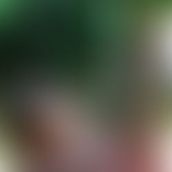 Brisbane Yoga Photography and Personal Branding with Katie West Yoga