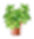 6.png