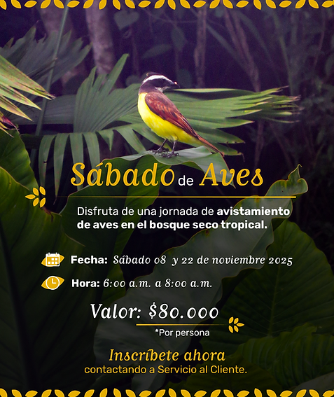 AGENDA JBC JULIO-05.png