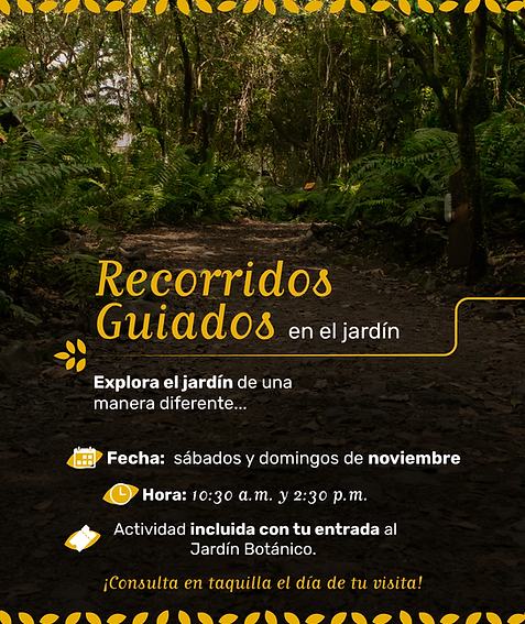 AGENDA JBC JULIO-05.png