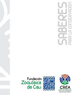 Captura de Pantalla 2024-07-18 a la(s) 8.28.34 a.m..png