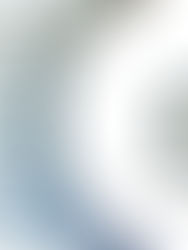 Il calcio dei tifosi: l’azionariato popolare e Interspac