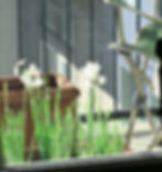 balcony 1_edited.jpg