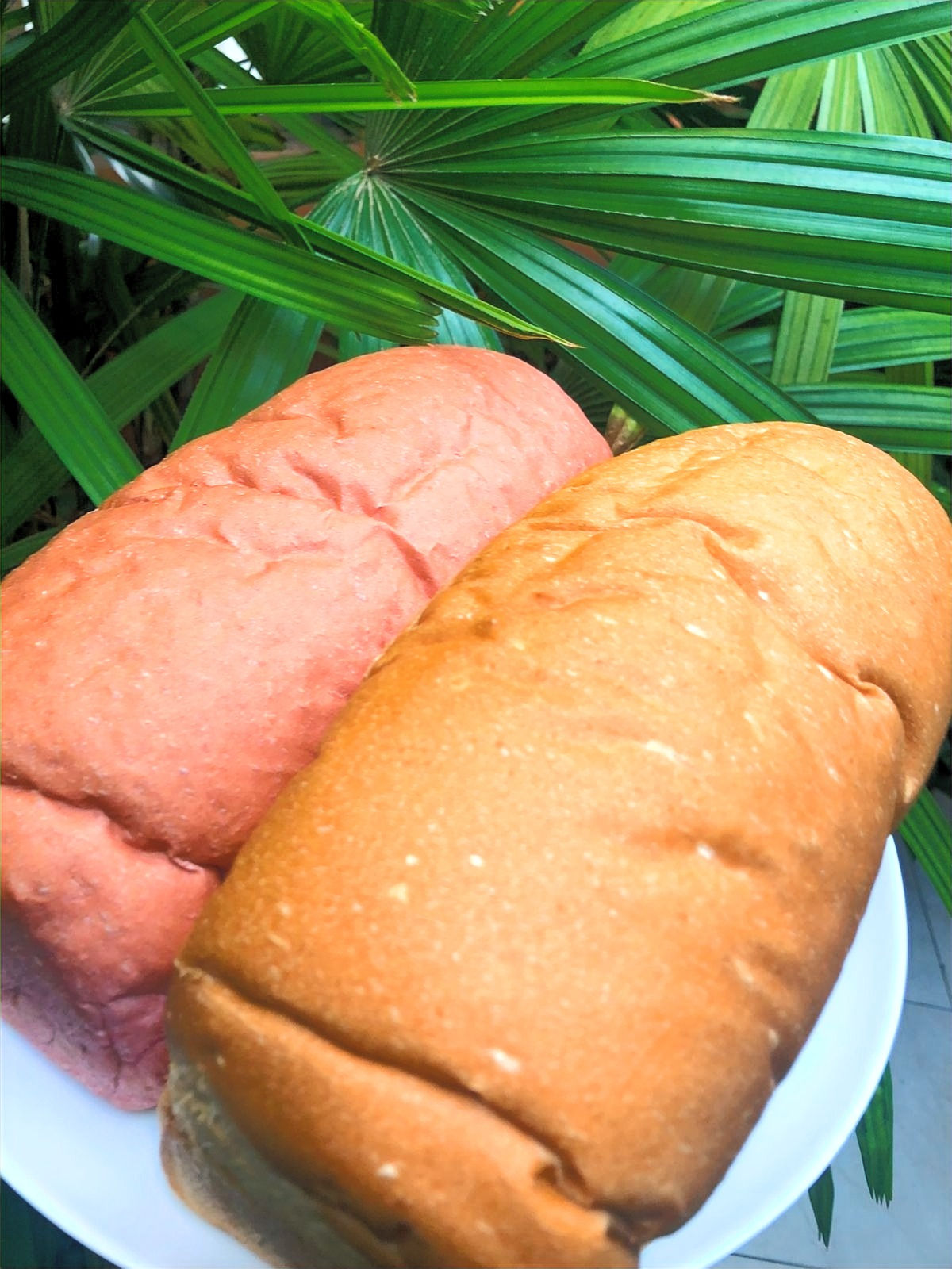 Pão de forma tipo bisnaguinha: rende umas 25 fatias .