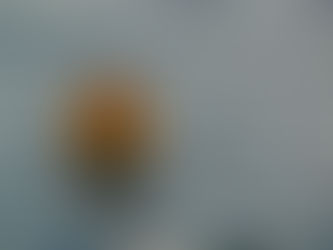 What is Flood Insurance?