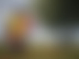 Should You Get Life Insurance When You're Young?