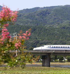 Dallas went to Japan to lean more about their high-speed Bullet Train.