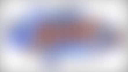 Willow Park Enterprise Salaries, June 2025