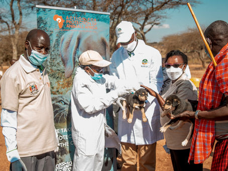 Raising Awareness Against Zoonoses - World Zoonoses Day