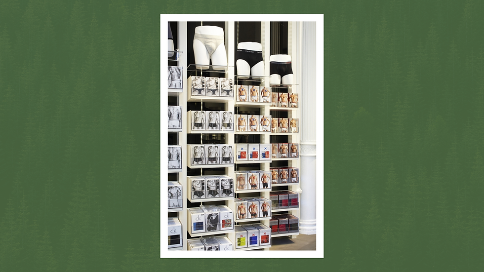 Store display with a white shelf of Calvin Klein men's underwear boxes and mannequin torso wearing black and white briefs. Background features a column.