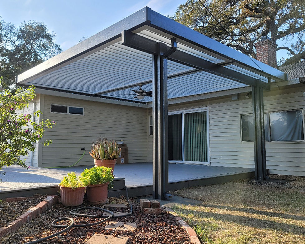 patio roof.jpg