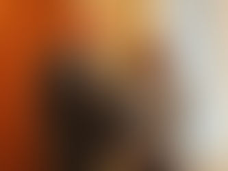 The Honorary Consul of Ukraine in Montreal and NGO “Ukraine-2050” President, Eugene Czolij, attended the Francophonie Economic Forum of the Americas, on October 30, 2025 in Montreal