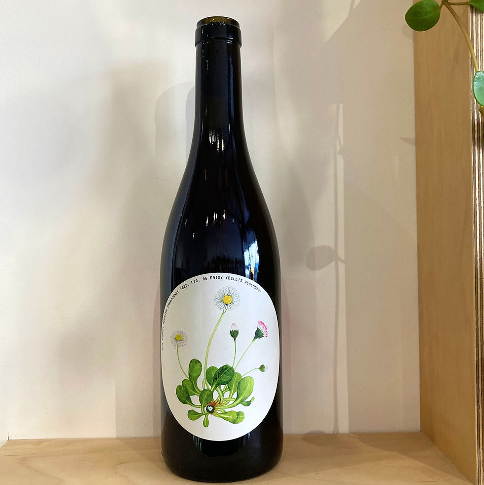 Ham Street Wines - Meunier Chardonnay 2023