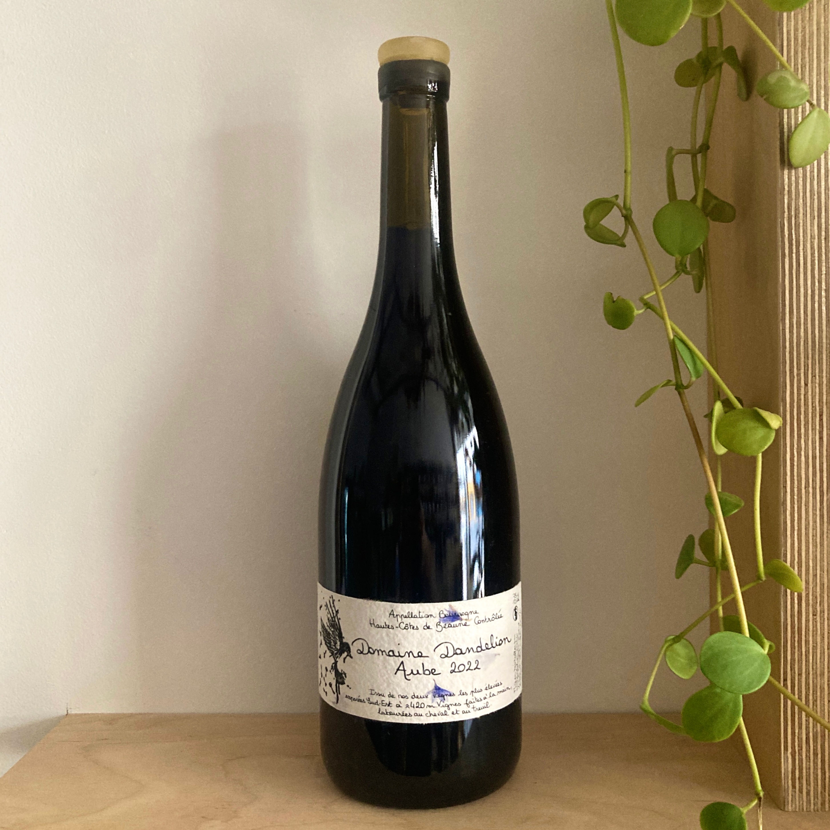 Domaine Dandelion - Aube 2022