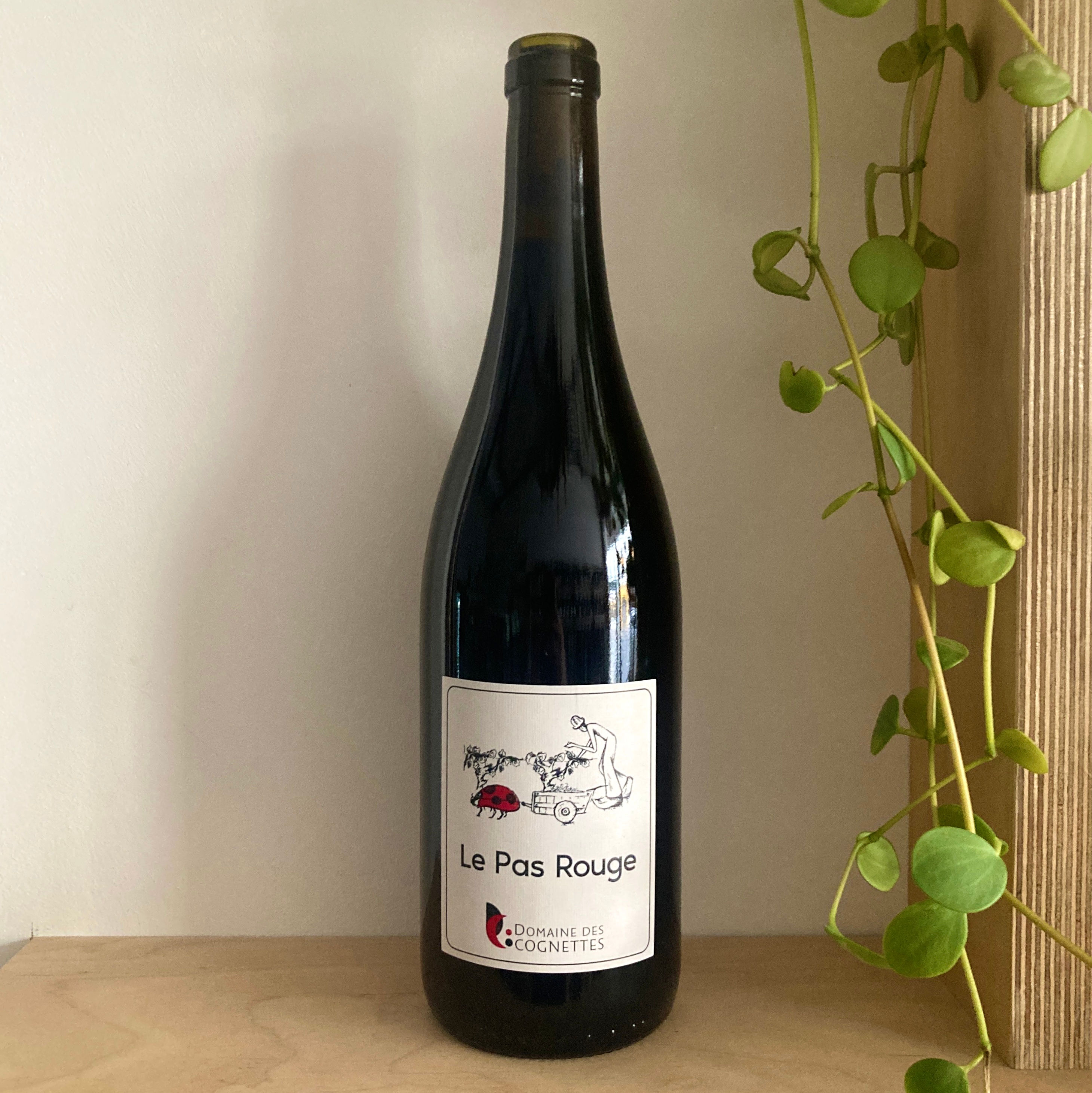 Cognettes - Le Pas Rouge 2022