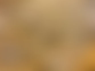 Weihnachtsbacken 2025