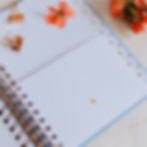 Thumbnail: Dated Planner - Blush Pink