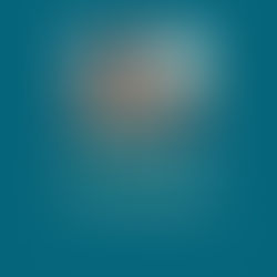 Build, Operate, Train and Transfer – that’s the African formula